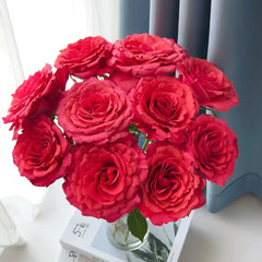 Red Chamber Rose