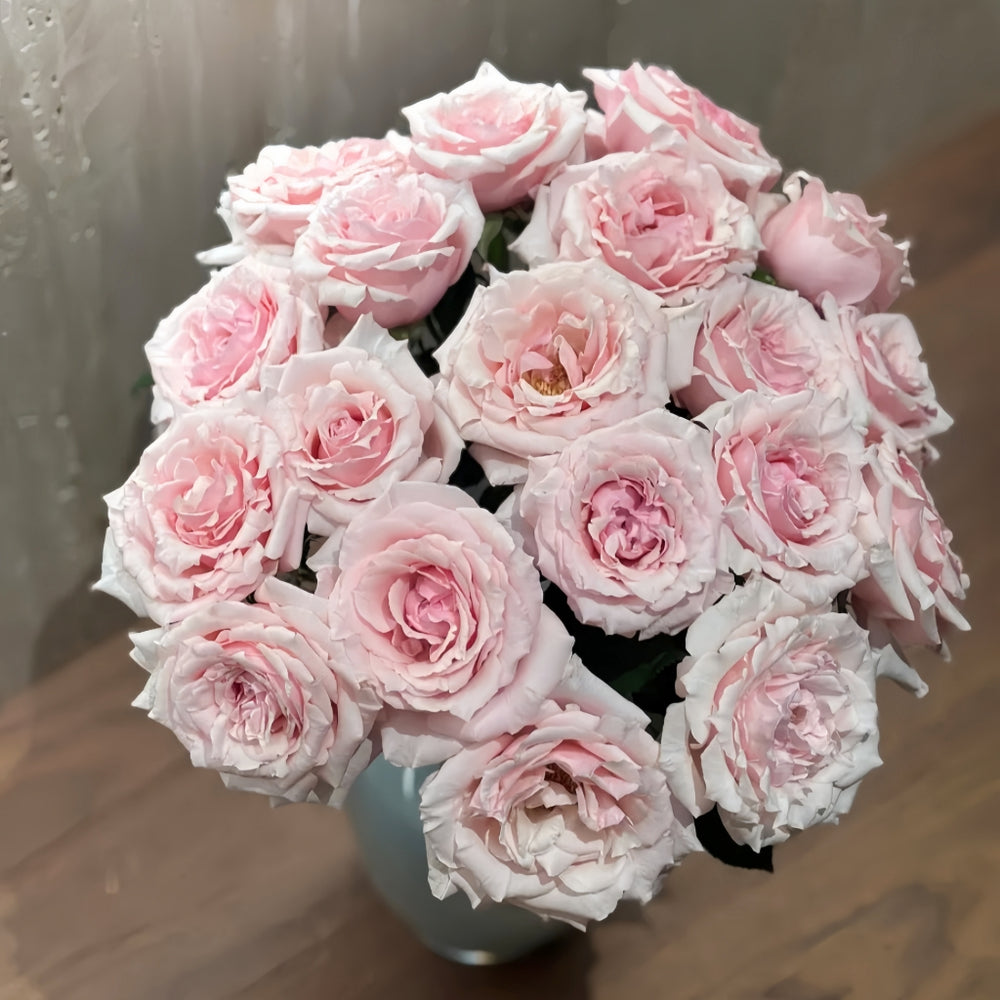 Shambhala Rose
