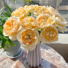 Shreuk Rose