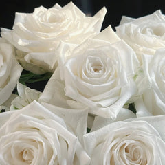Snowdon Rose