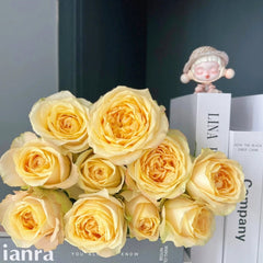 Summer Sunshine Rose