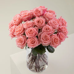 Superstition Rose