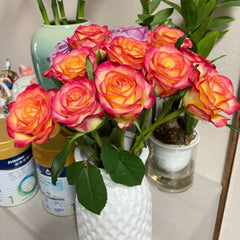 Tao Zhi Yao Yao Rose