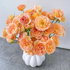 Tsukitohana Rose