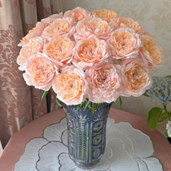 Tsumugi Ulala Rose