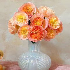 Wutongyue Rose