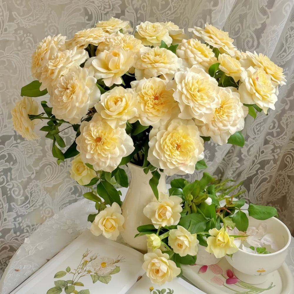 Yellow Mikoto Rose