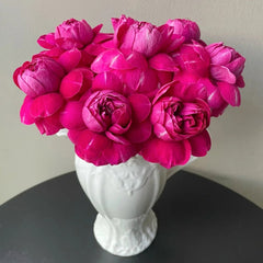 Yingchun Rose