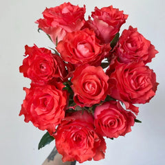 Yuhaitang Rose