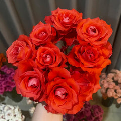 Yuhaitang Rose