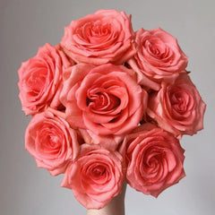 Zhihua Rose