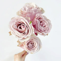Bourbon Street Rose