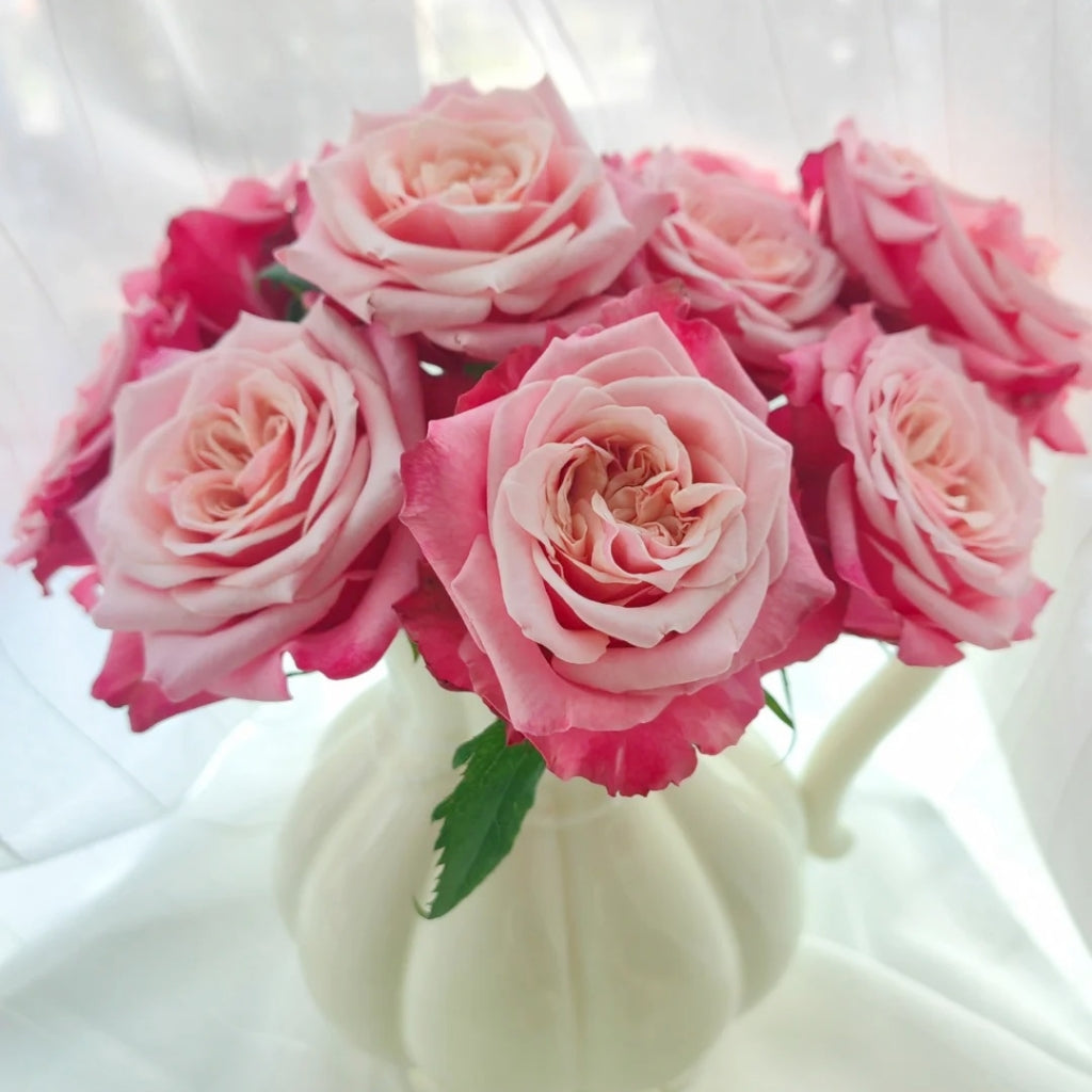 Alter Ego Rose