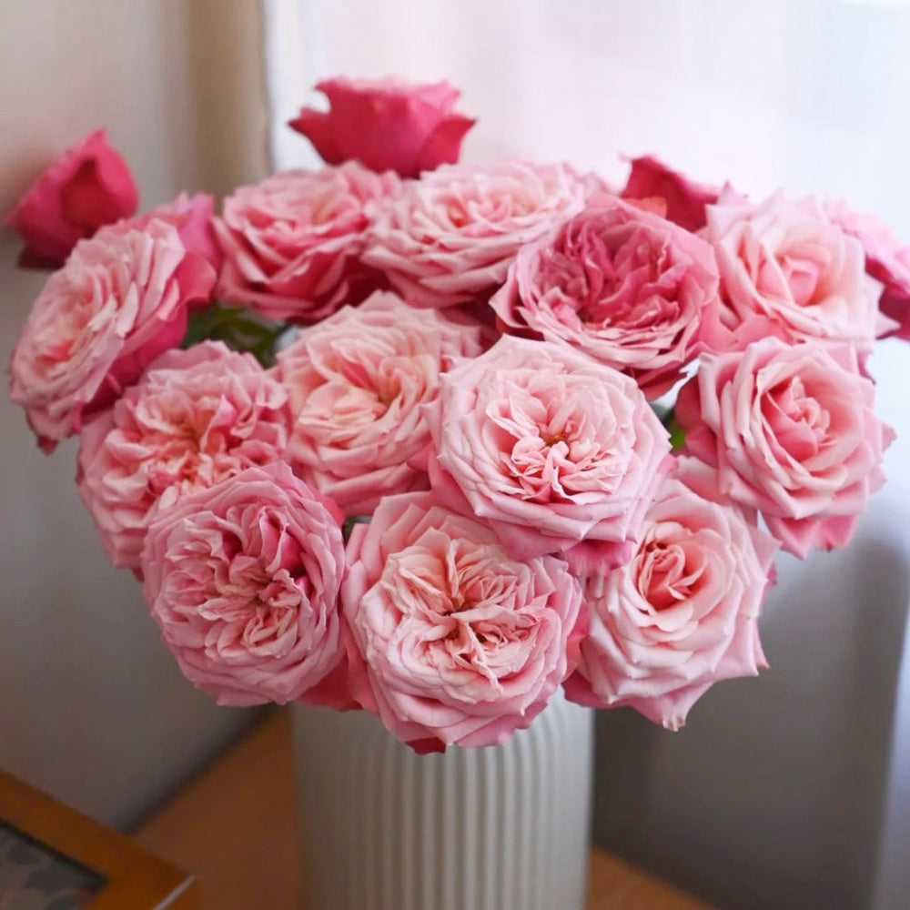 Alter Ego Rose