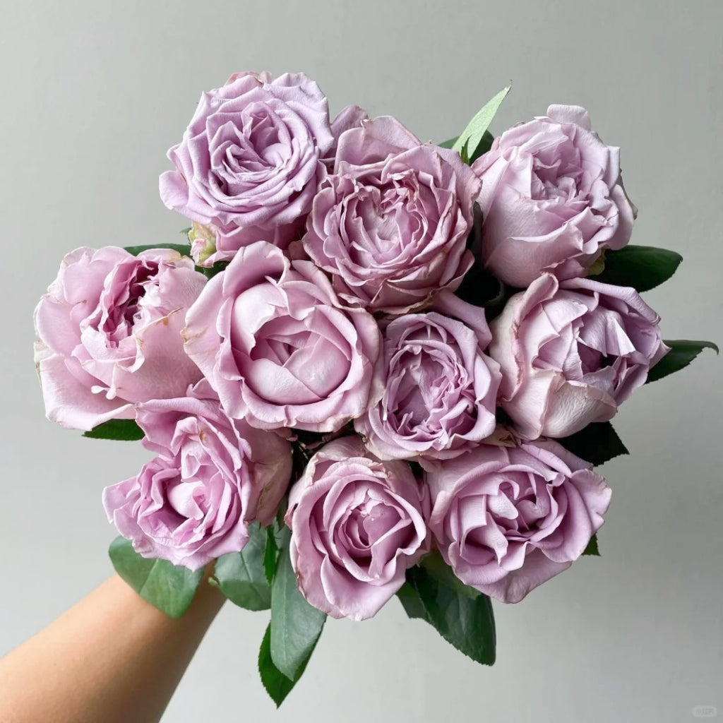 Amethyst Rose