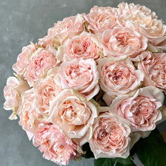 Art Nuvo Rose
