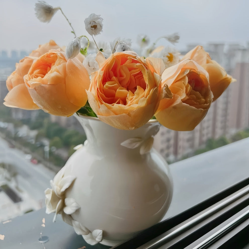 Bergamotte Rose