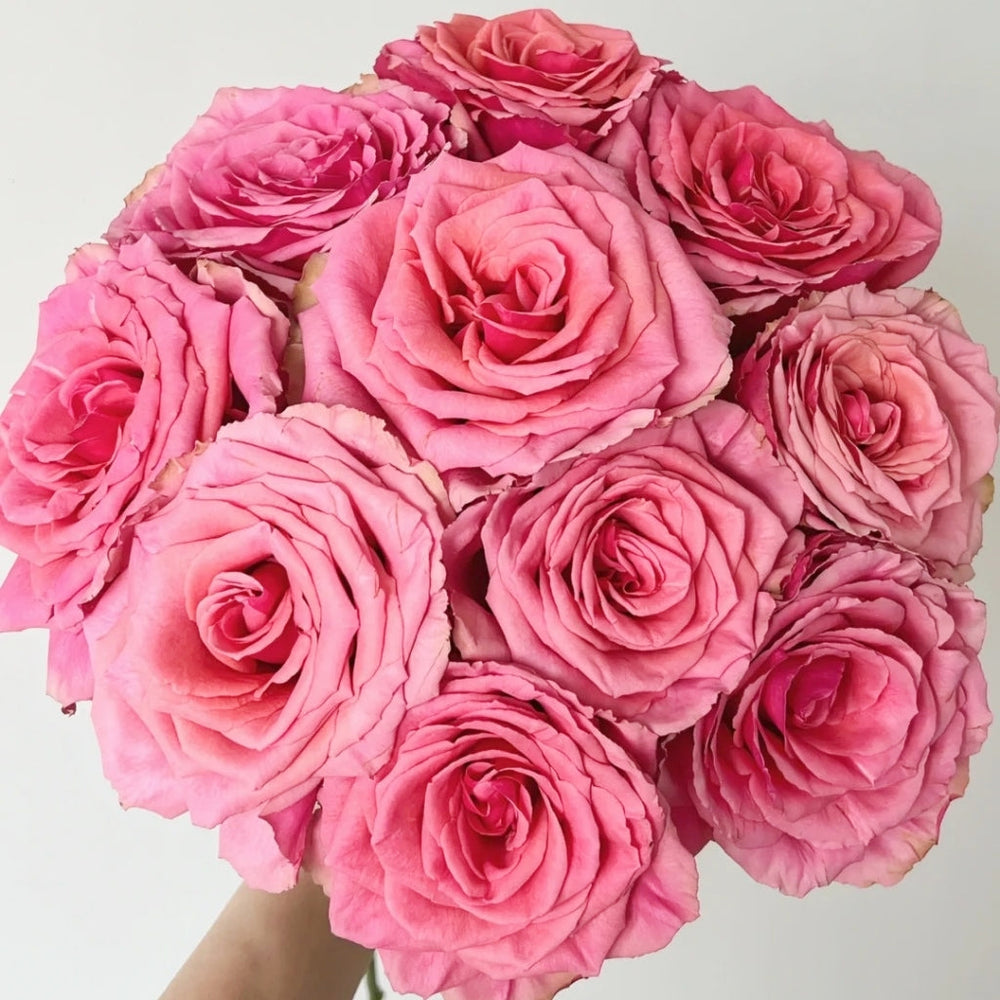 Bronze Perfume Rose
