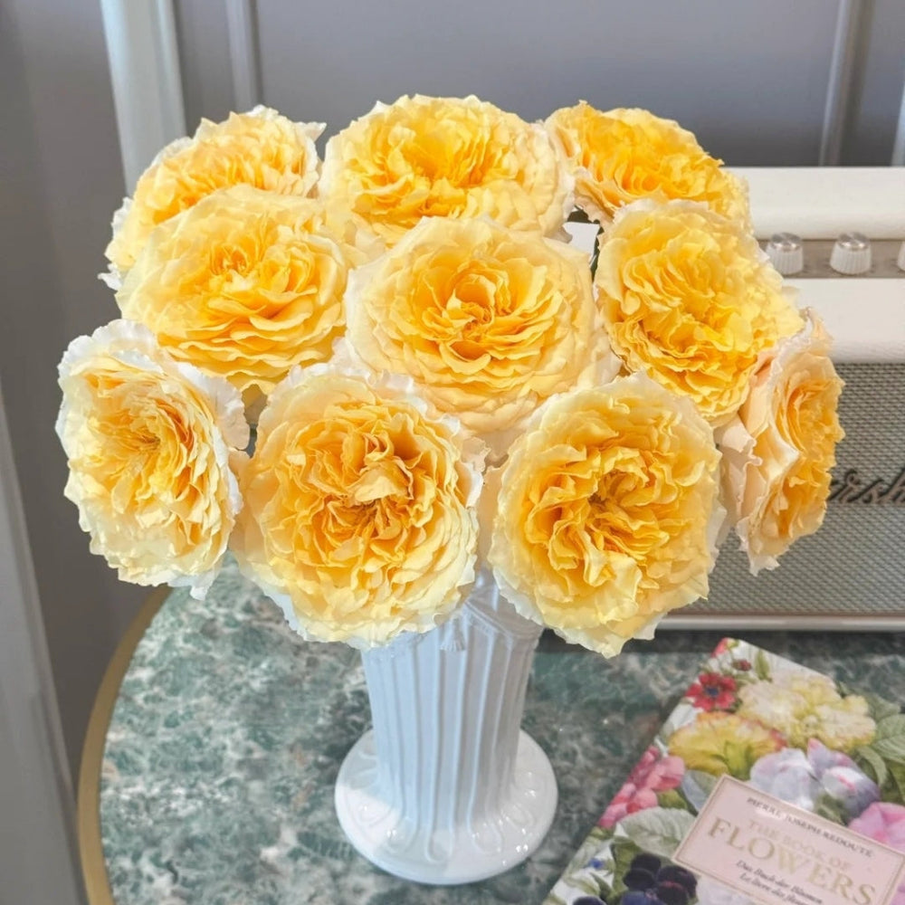 Campanella Peach Rose
