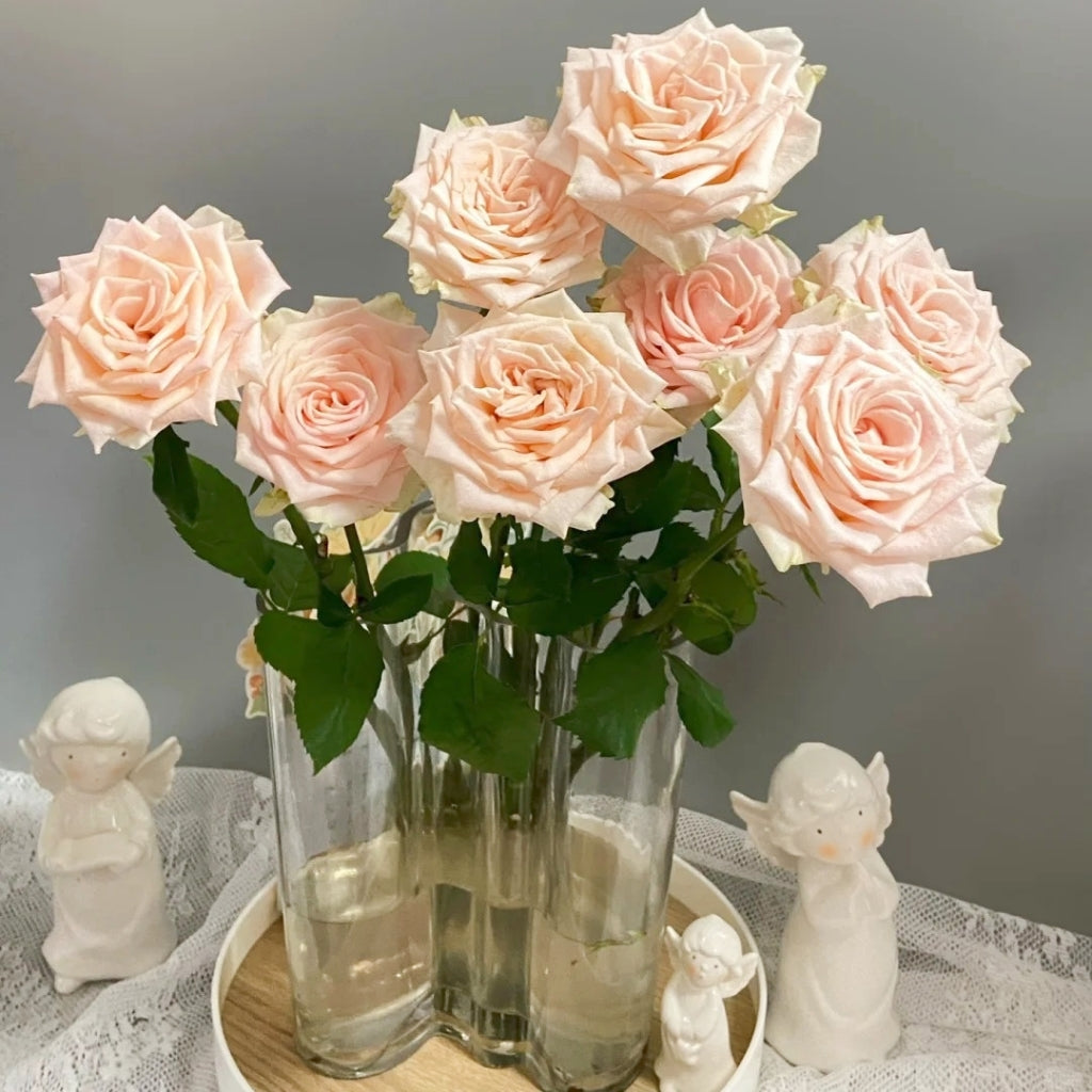 Capodimonte Rose