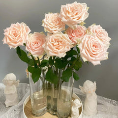 Capodimonte Rose