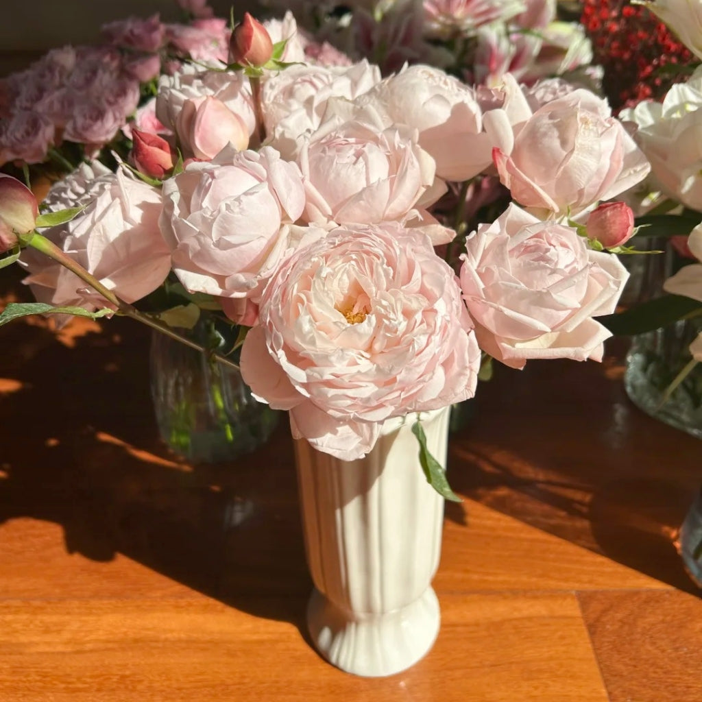 Cherry Antique Rose