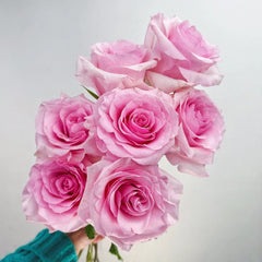 Christa Rose
