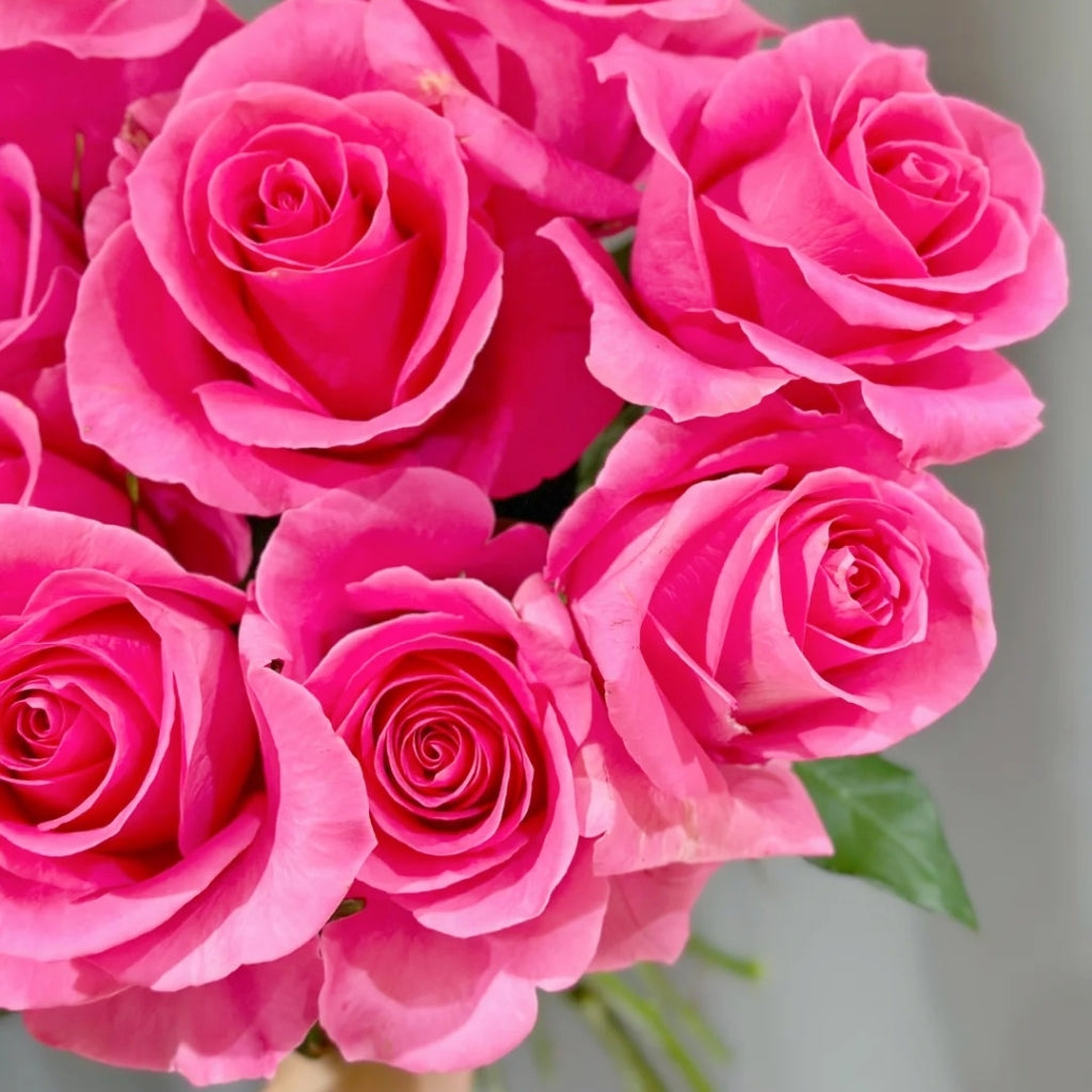 Claire Rose