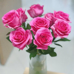 Claire Rose