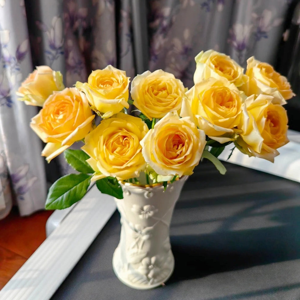 Cote d'or Rose