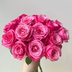 Cranberries Rose