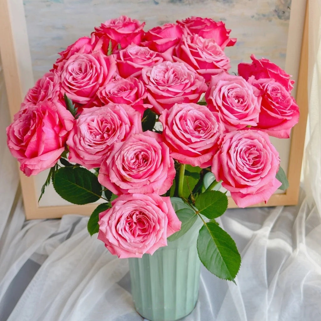 Cranberries Rose