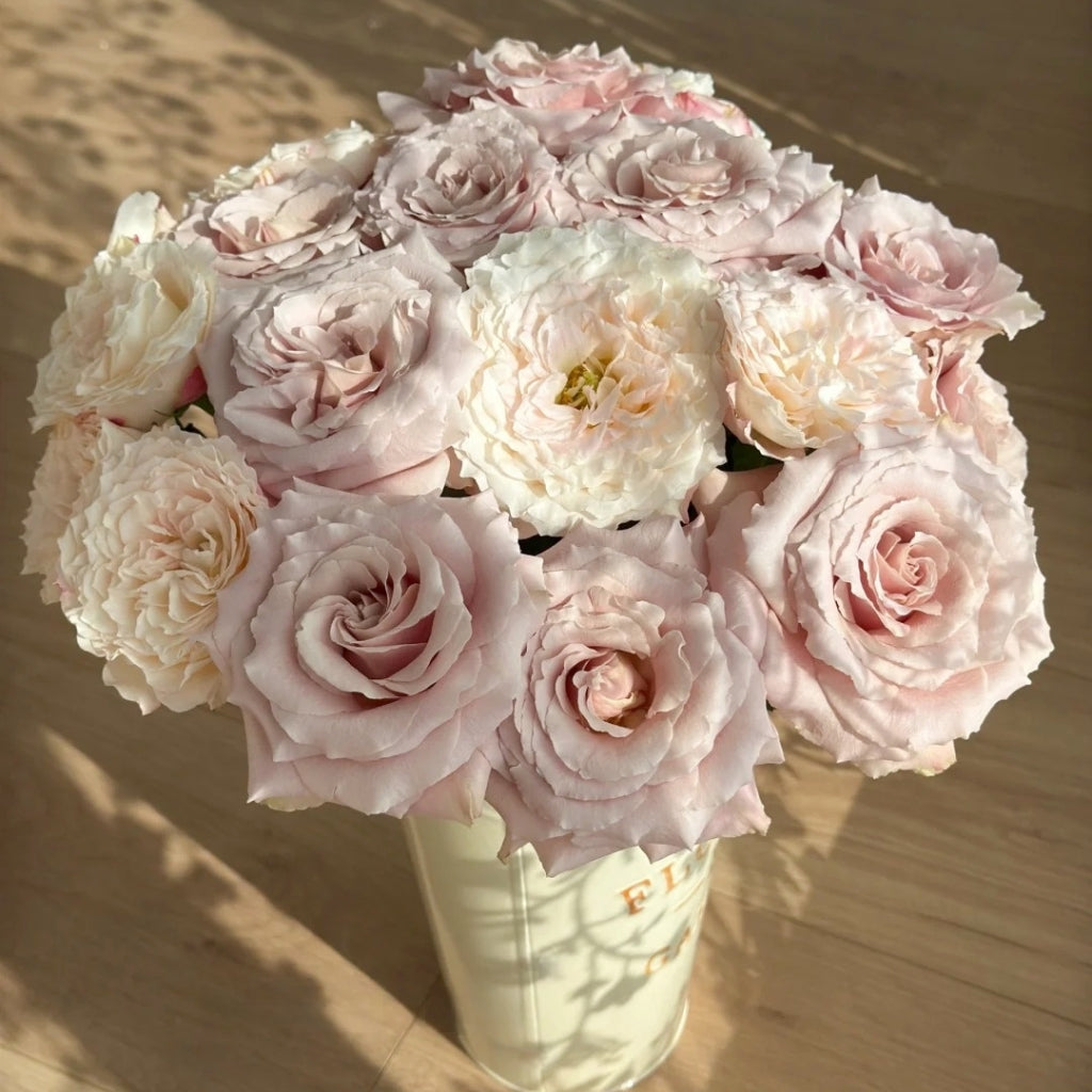 Cream Peach Rose