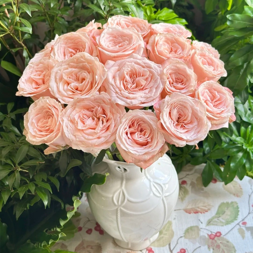 Cream Su Rose