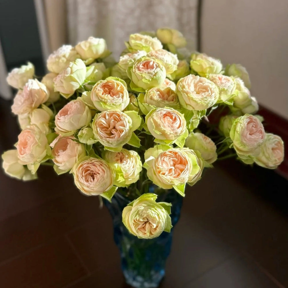 Darlene Rose