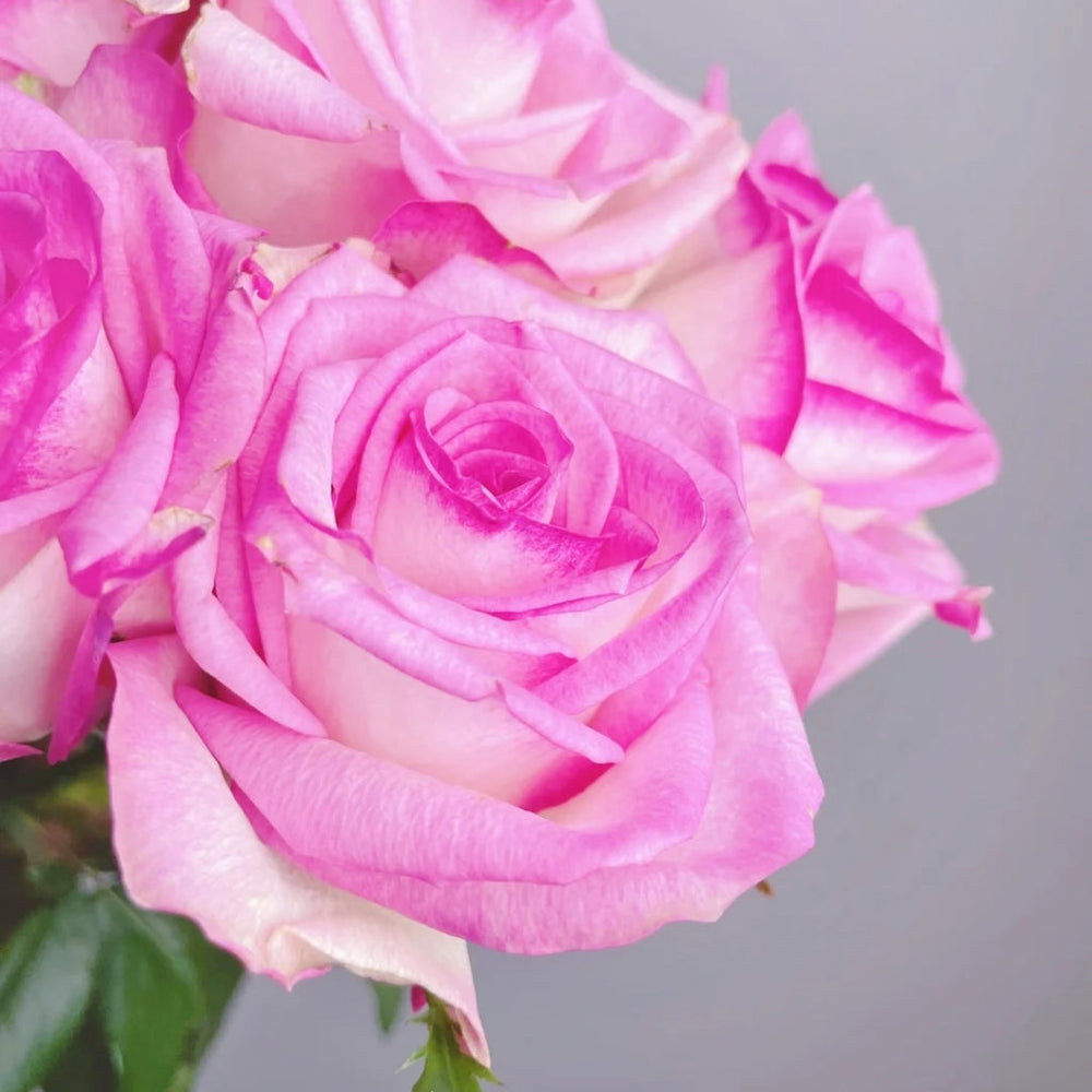 Decoration Rose