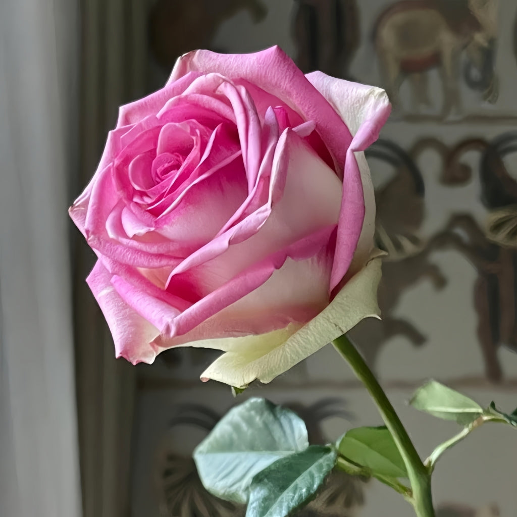 Decoration Rose