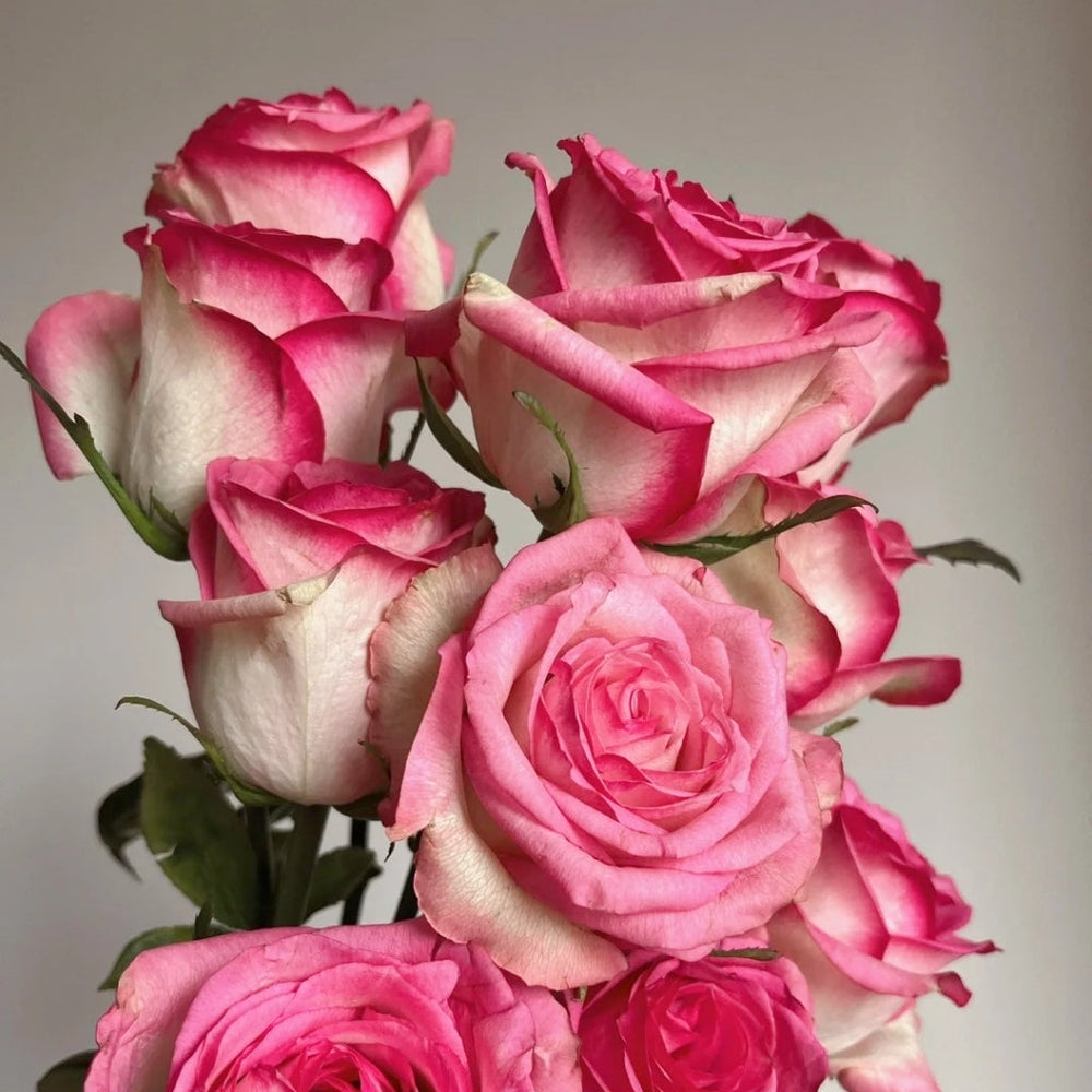 Decoration Rose