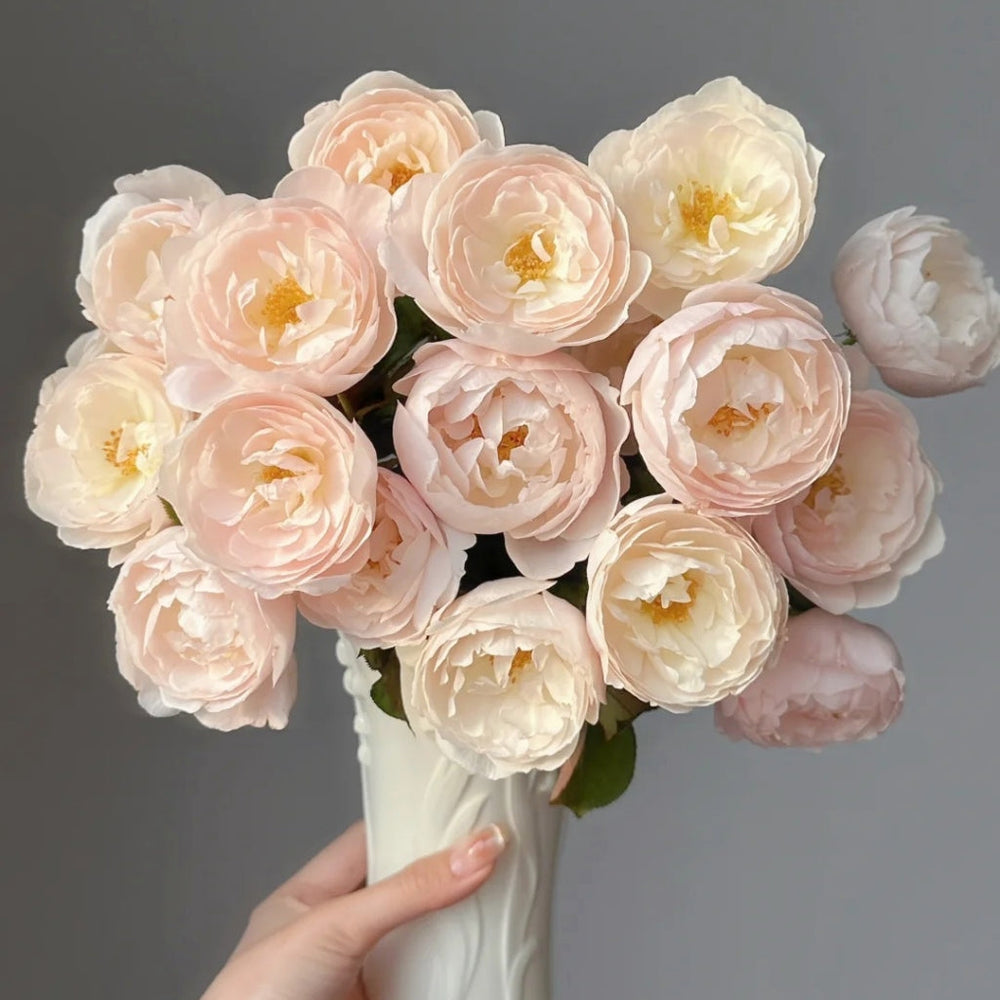 Desdemona Rose