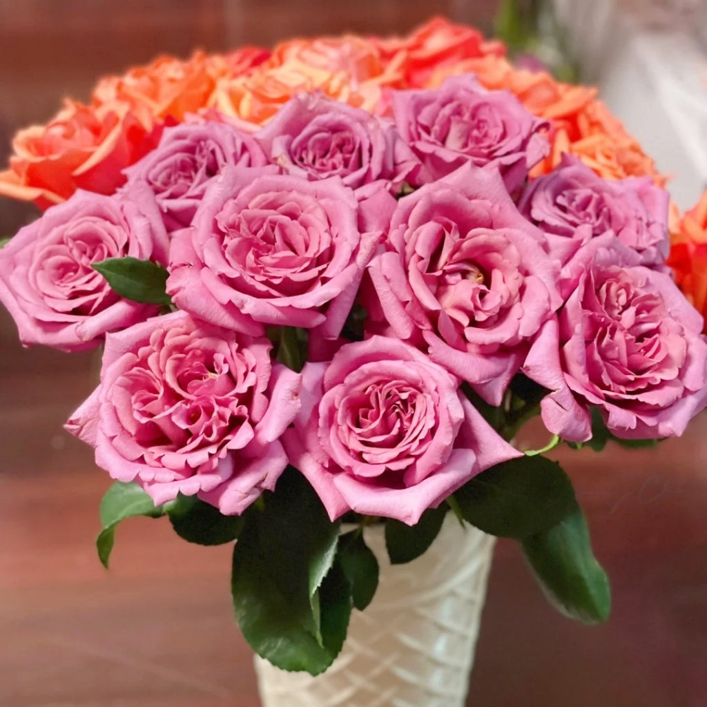 Drape Rose