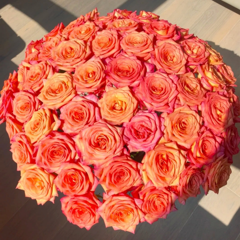 Fairy Tale Rose