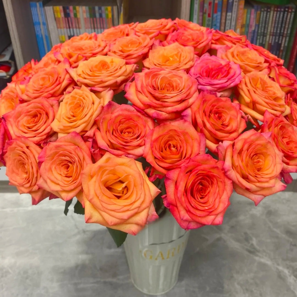 Fairy Tale Rose