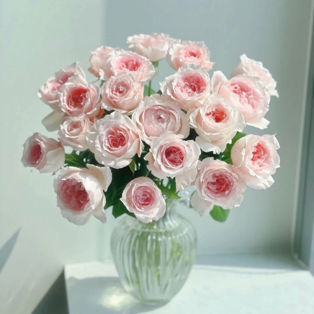 Flow Rose