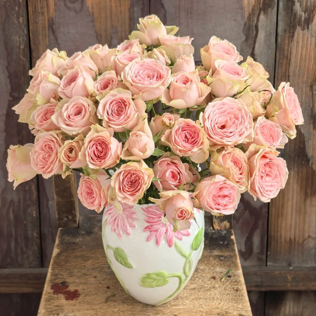 Flower Fairy Rose