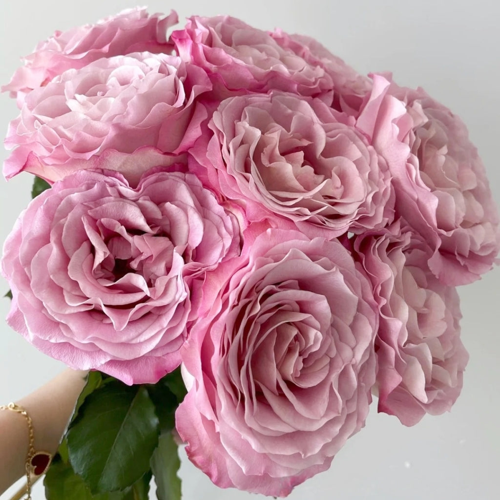 Ginette Rose