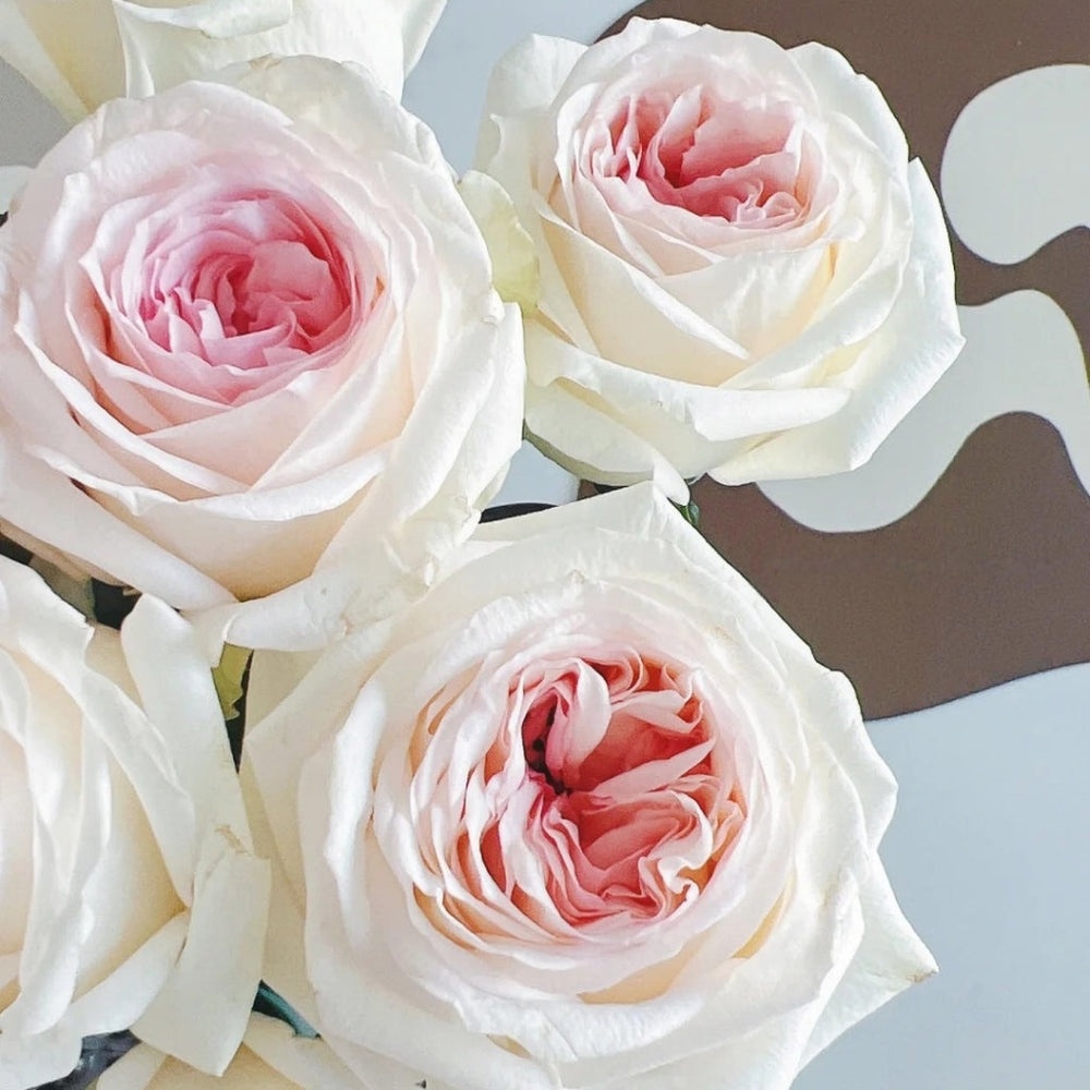 Hanxiang Rose