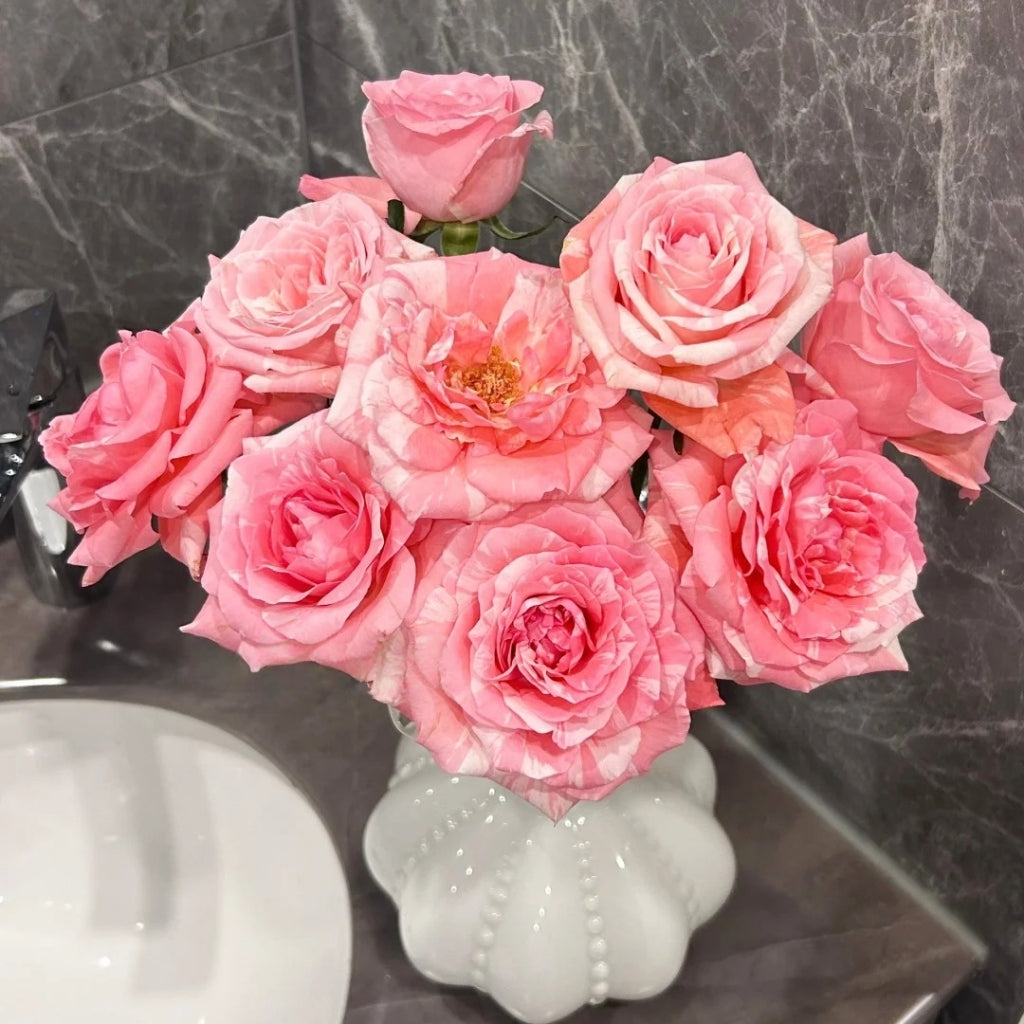 Huancai Rose