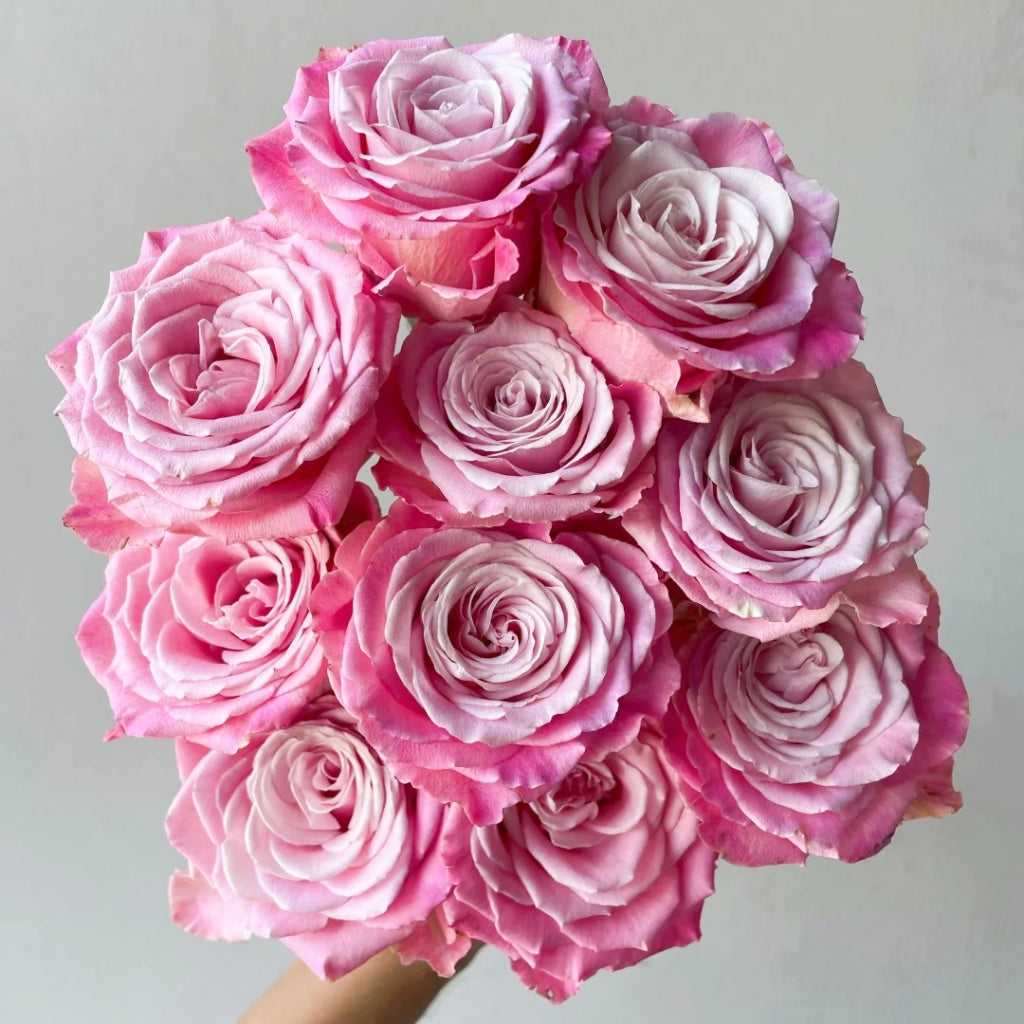 Ice Crown Princess Rose