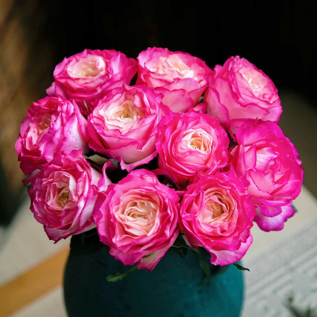 Ice Red Velvet Rose