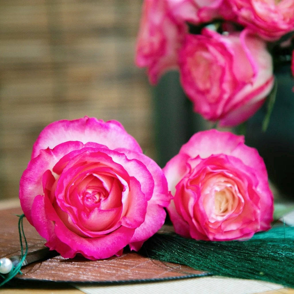 Ice Red Velvet Rose